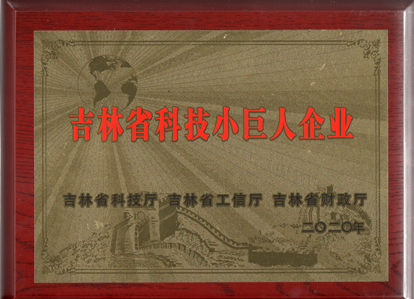 0國(guó)信物業(yè)獲“吉林省科技小巨人企業(yè)”稱號(hào)_副本.jpg